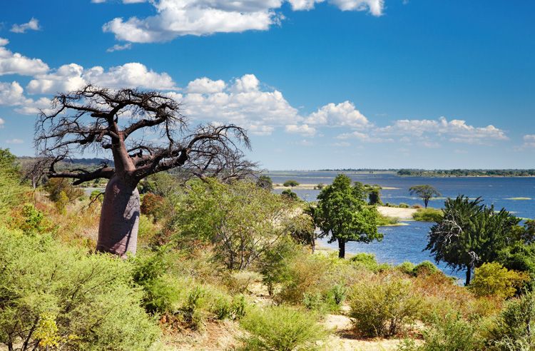 BOTSWANA & ZIMBABWE – Cascada Victoria